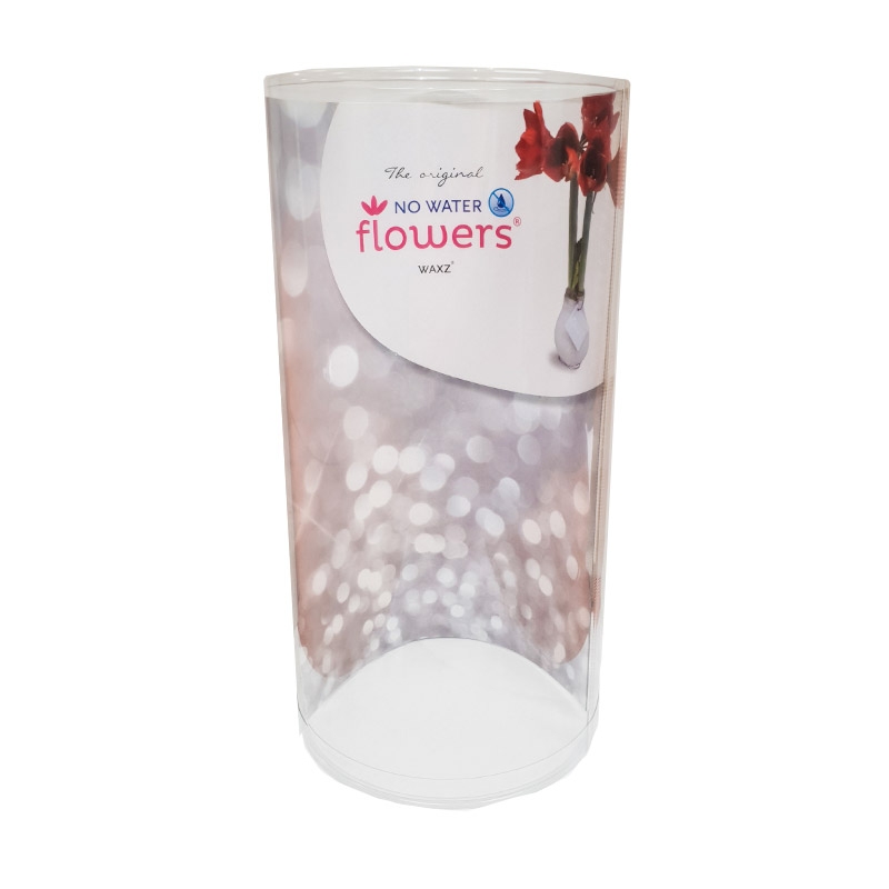 Wax Amaryllis Double Sparkle Mix à 2 in a tube