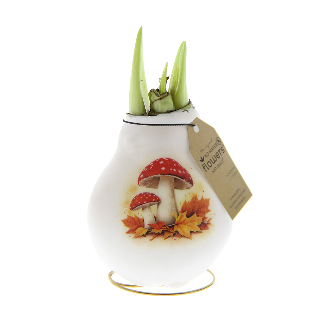 Wax Amaryllis Crafts Forest Mushroom