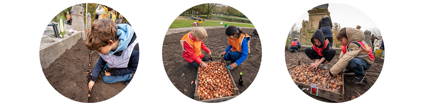 QFB Gardening sends 150,000 flower bulbs to Ukrainian schools