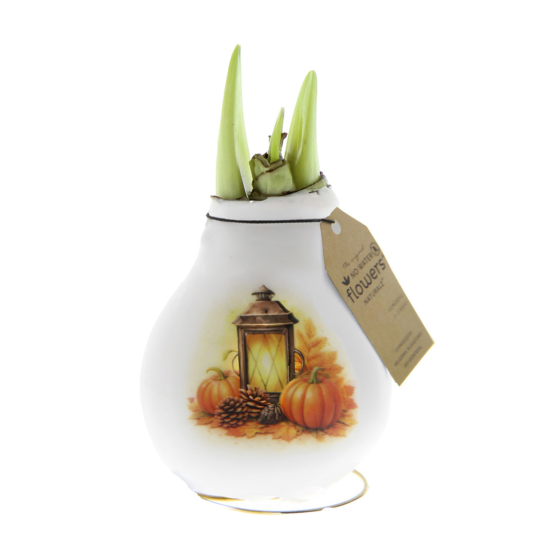 Wax Amaryllis Crafts Forest Lantern