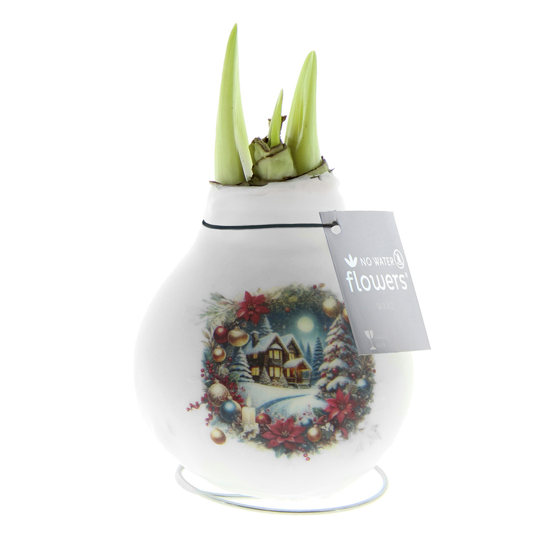 Wax Amaryllis Crafts Christmas House