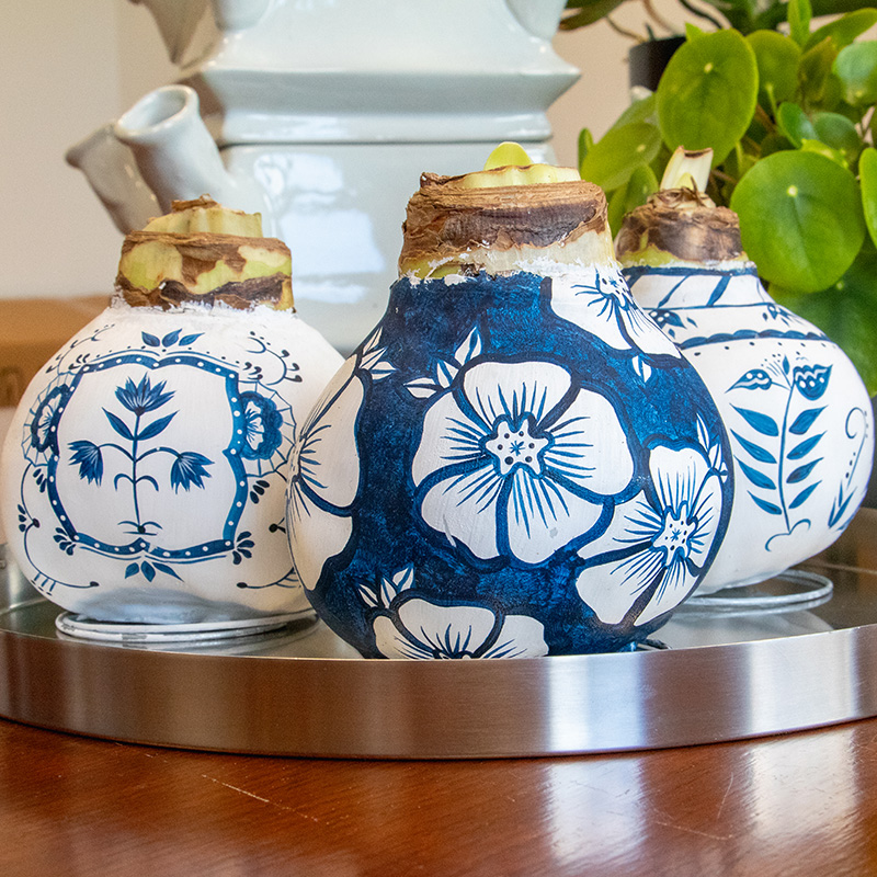 Wax Amaryllis XXL Delft Blue Collection