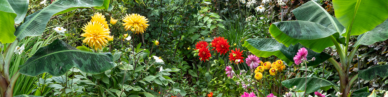 Garden trend 2025 - Unique Utopia