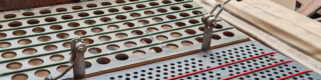 Big flower bulb = Big flower?