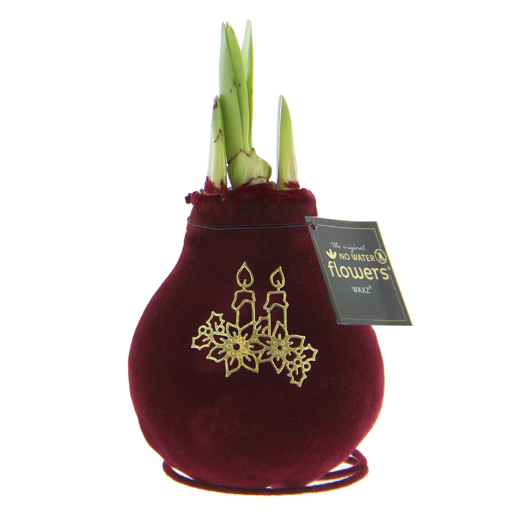 Wax Amaryllis Velvet Touch Royal Candle