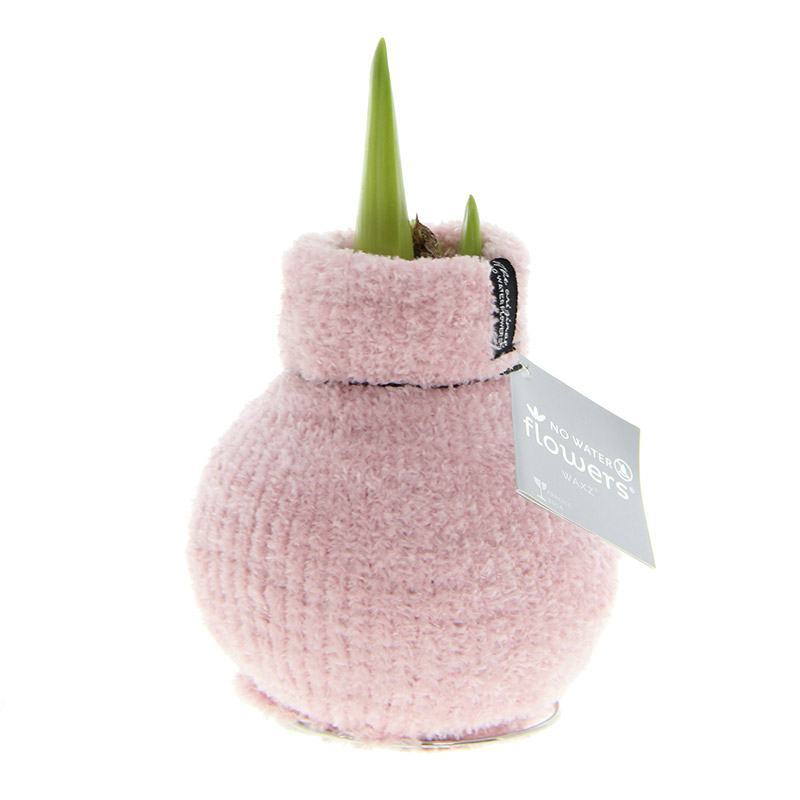 9000050-Wax-Amaryllis-Cozy-Fluffy-Roze Wax Amaryllis Fashionz Cozy Fluffy Pink