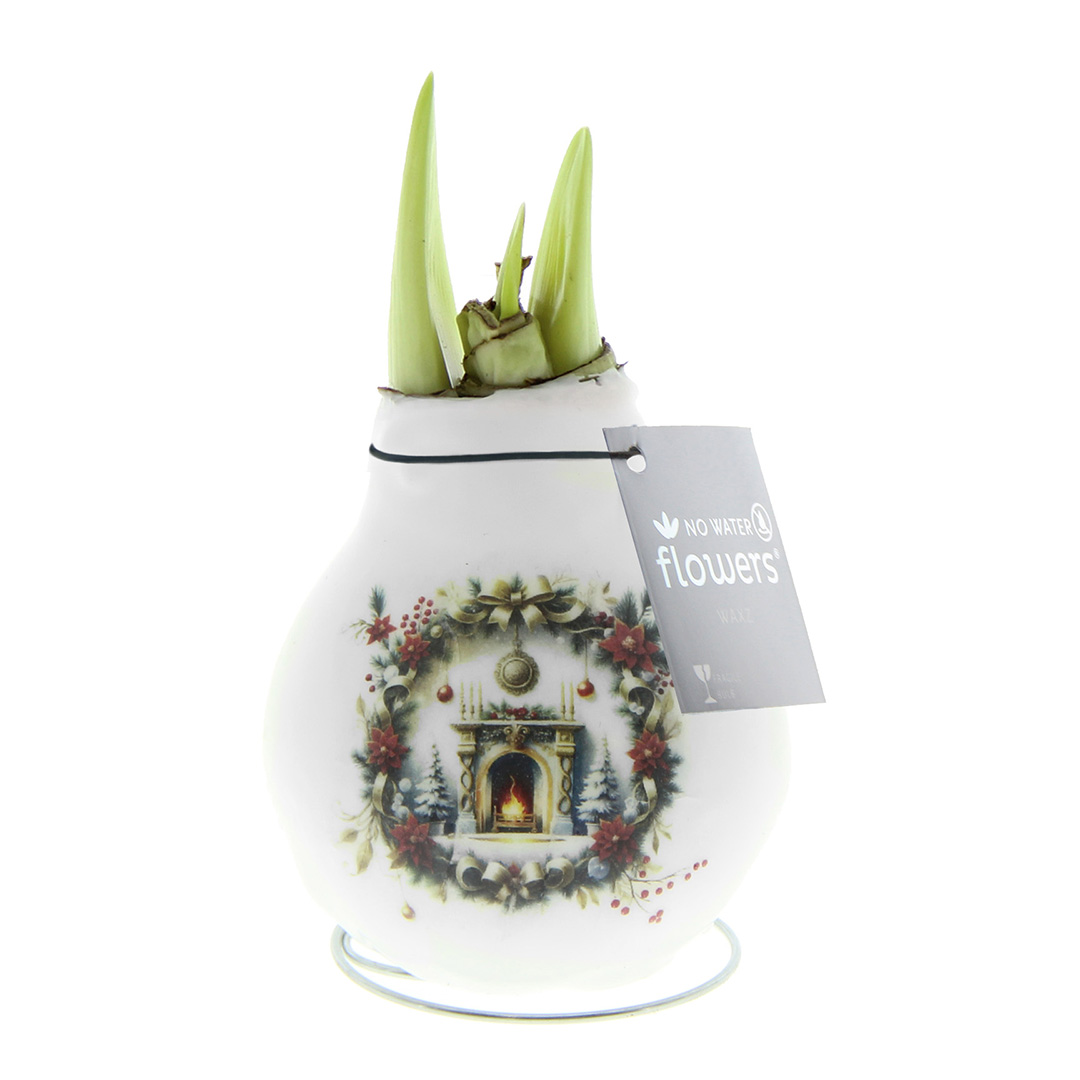 Wax Amaryllis Crafts Christmas Fireplace