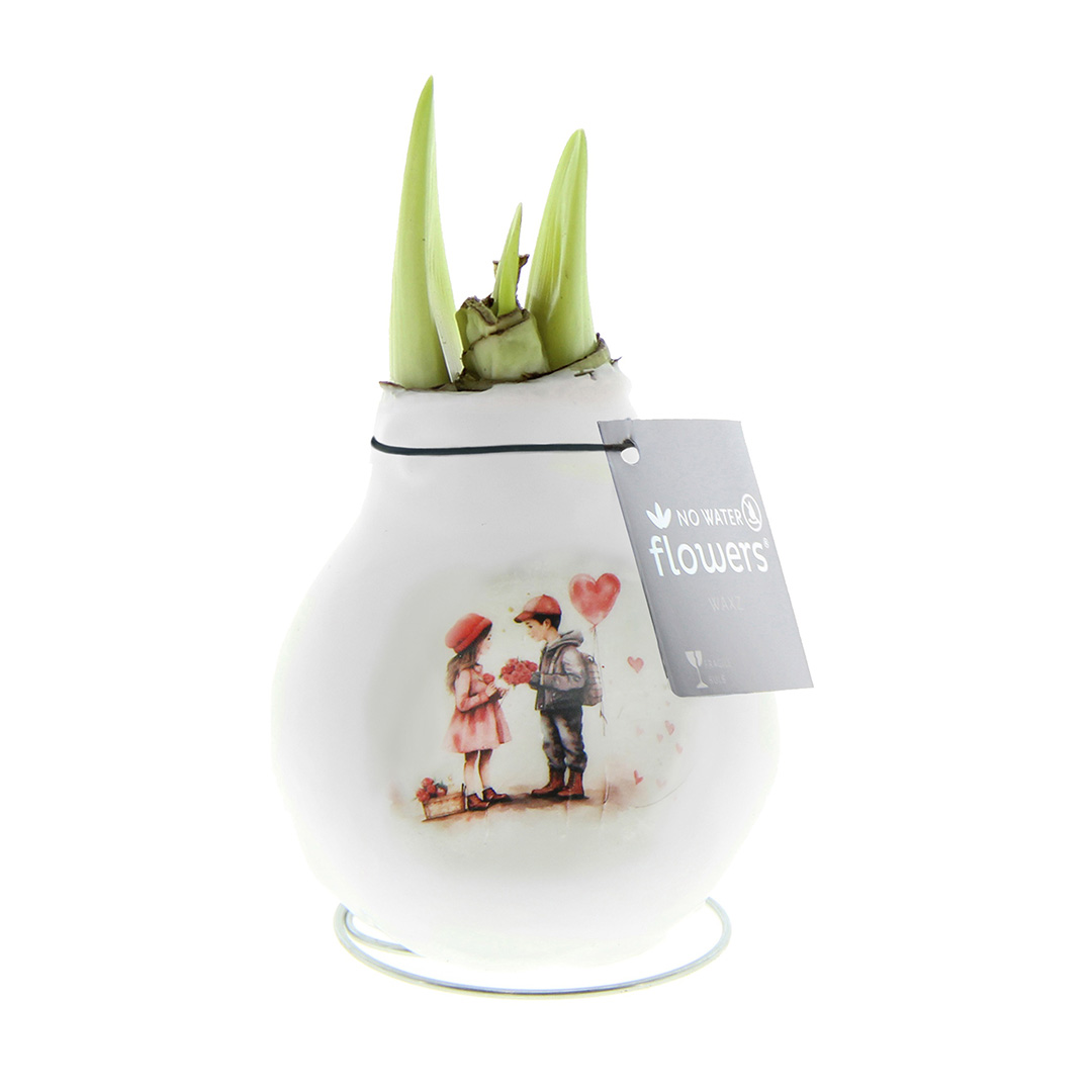 Wax Amaryllis Craftz Love Couple