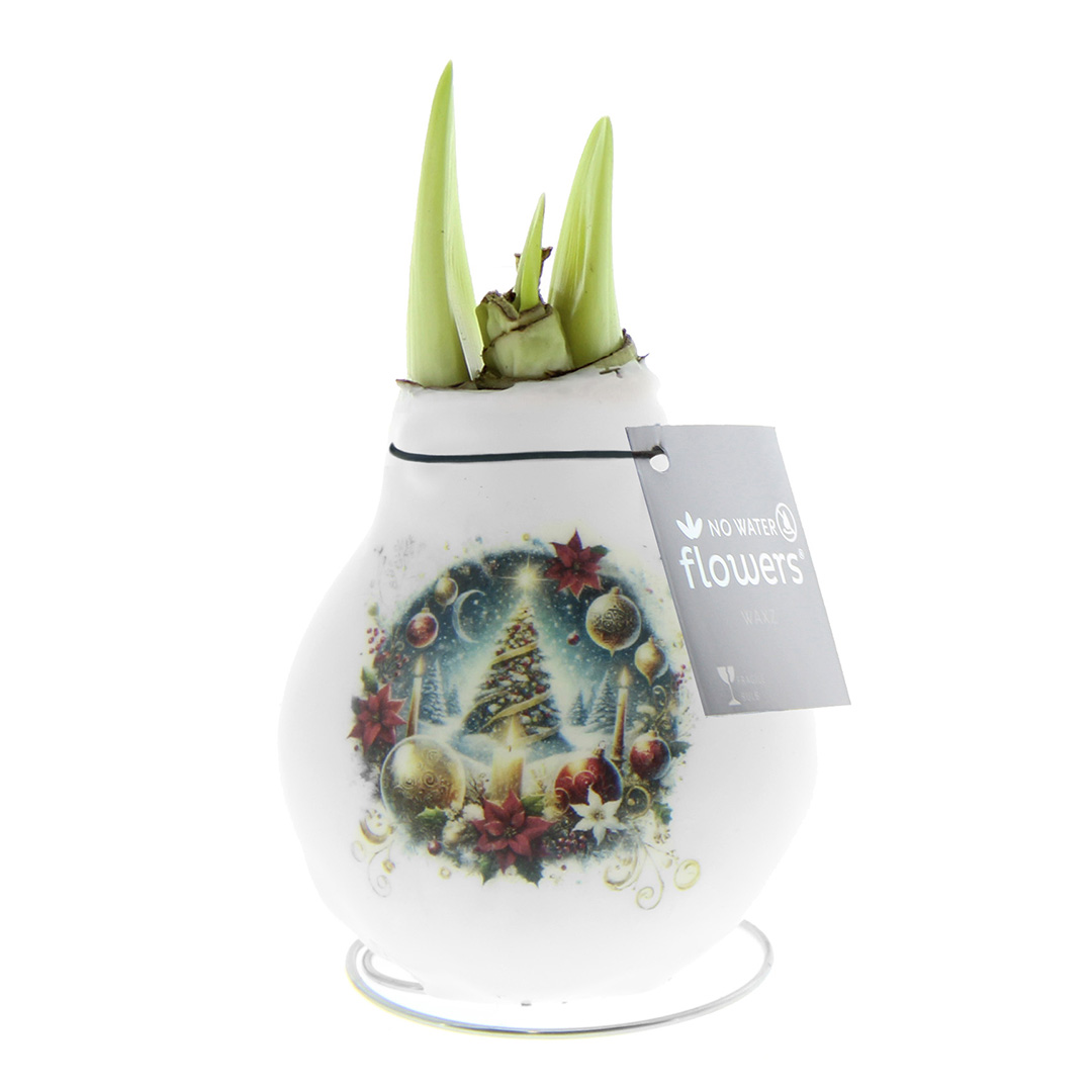 Wax Amaryllis Crafts Christmas Tree