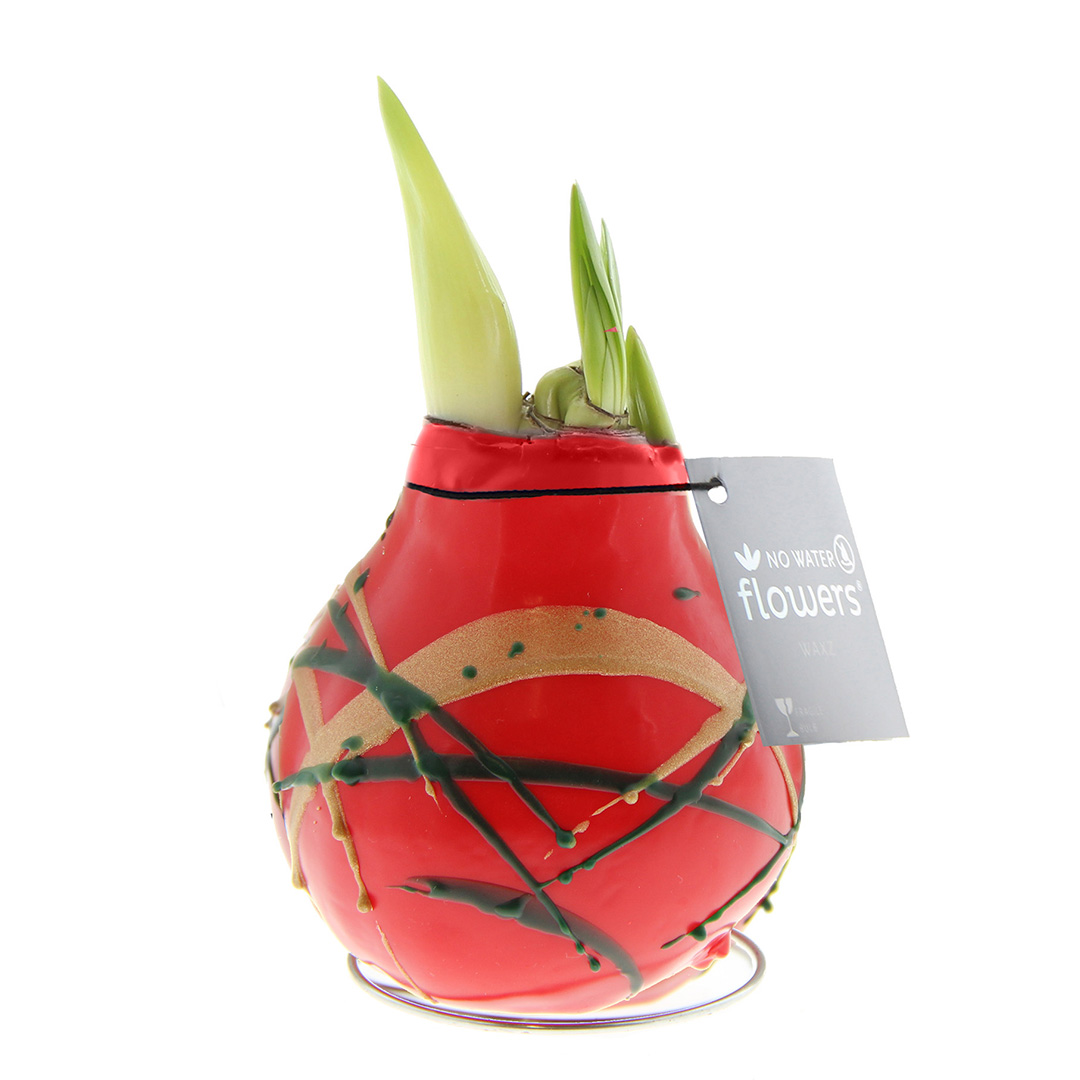 Wax Amaryllis Art Munch Red