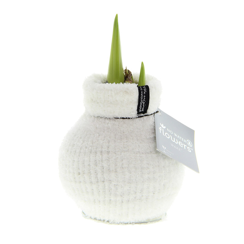 Wax Amaryllis Fashionz Cozy Fluffy White