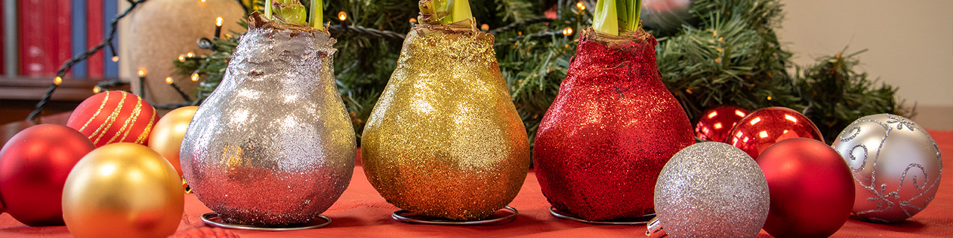 How does it actually work with those amaryllis bulbs in wax?