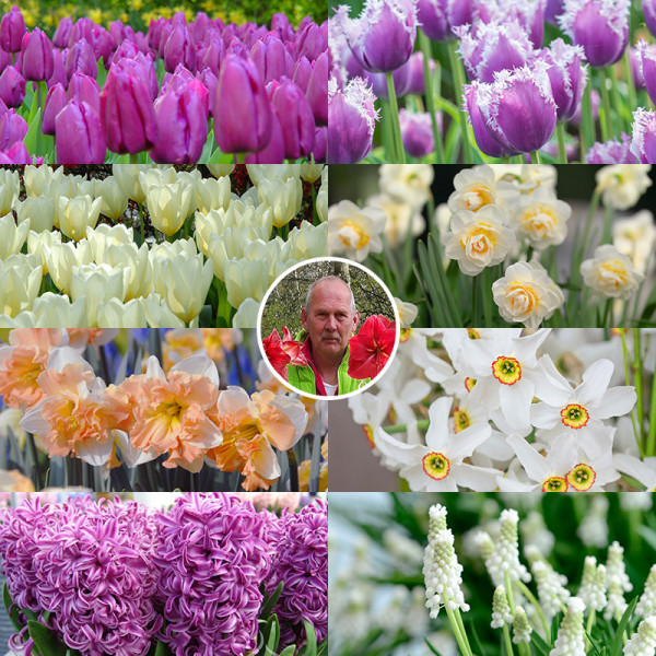 Albert's Spring Bulb Collection